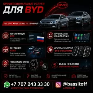  BYD  профессиональные услуги в Алматы