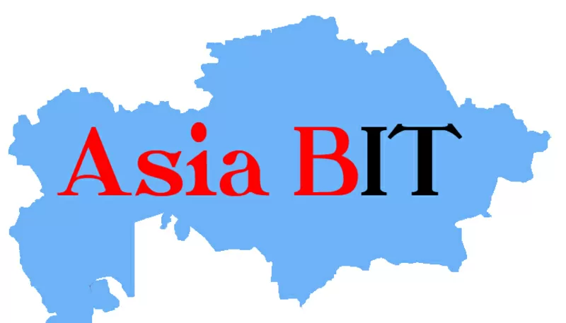 Asia BIT,  ИТ услуги