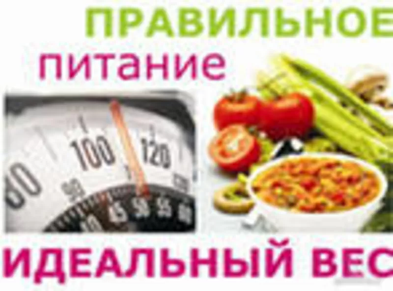 Похудеть с Гербалайф. Независимый дистрибьютор в Алматы 2