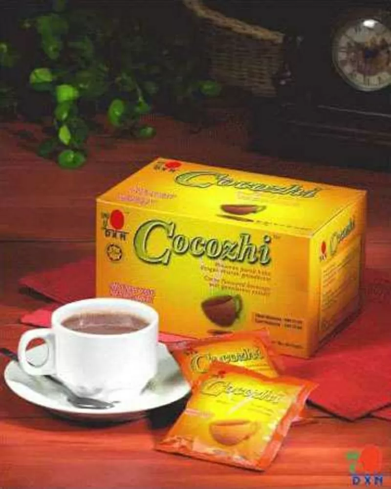 Отличный подарок на Новый 2012 год Дракона!