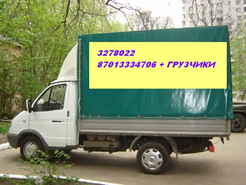 ВЫСОКИЕ ГАЗЕЛИ+ГРУЗЧИКИ