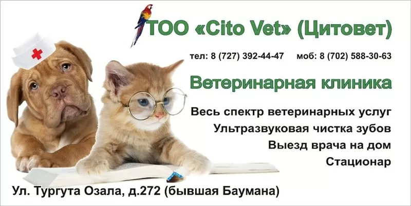 Ветеринарная клиника  Cito Vet (Цитовет )предлагает