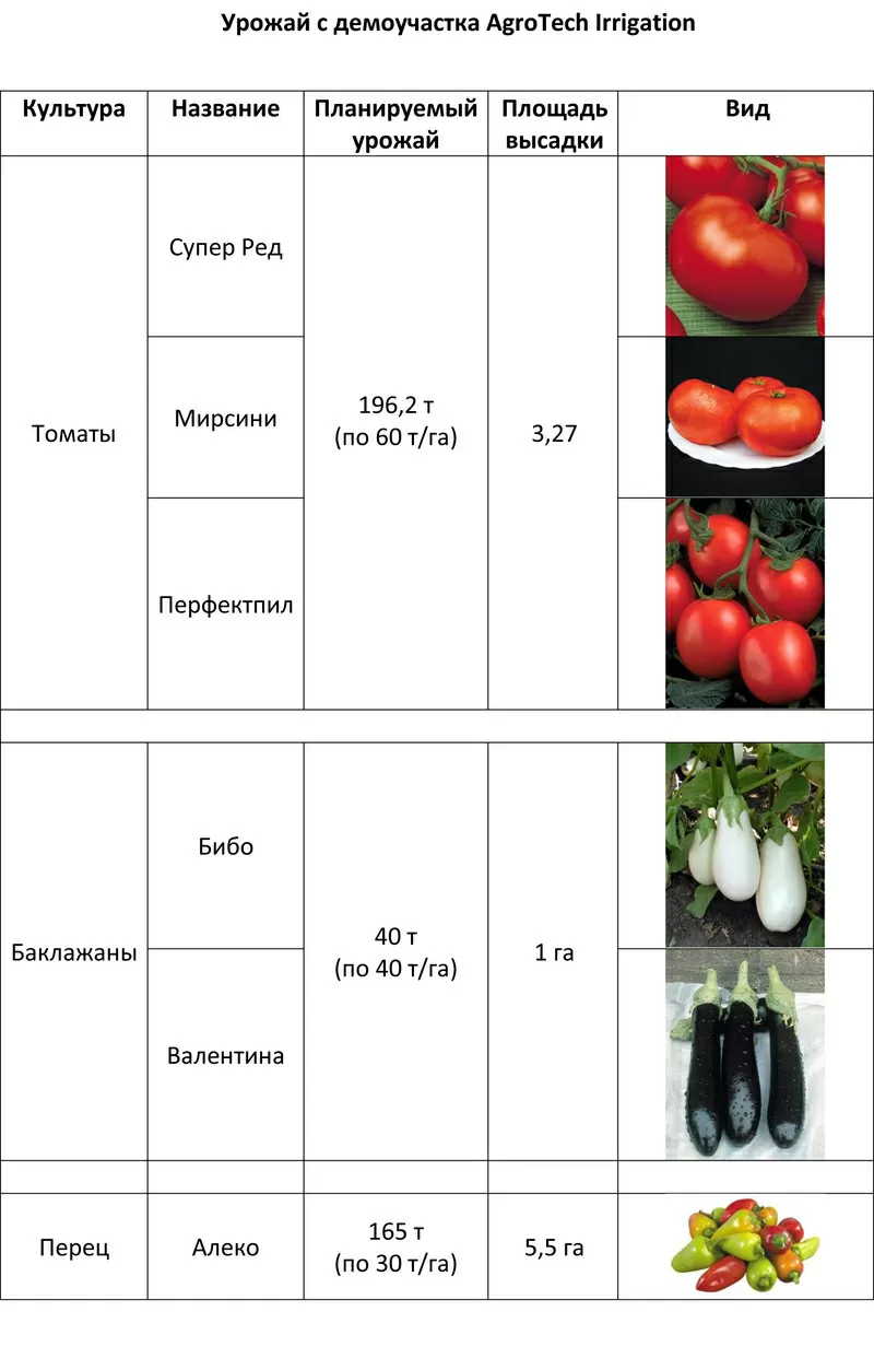 Продам томаты,  перец,  баклажаны