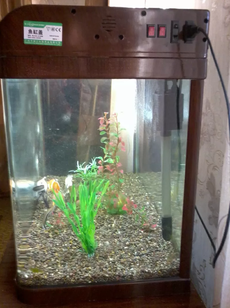 продам аквариум с тремя рыбками 3