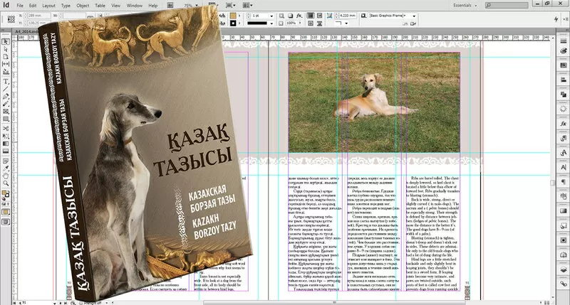 курсы   InDesign (ИнДизайн) в Алматы