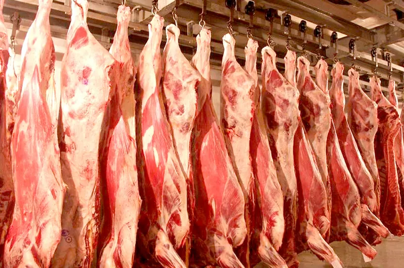 Мясо говяжее охлажденное тушами и полутушами!ОПТОМ! Цена 1050 тг/кг!