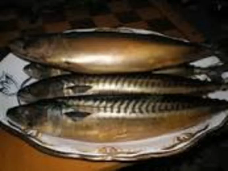 Рыба,  морепродукты 2