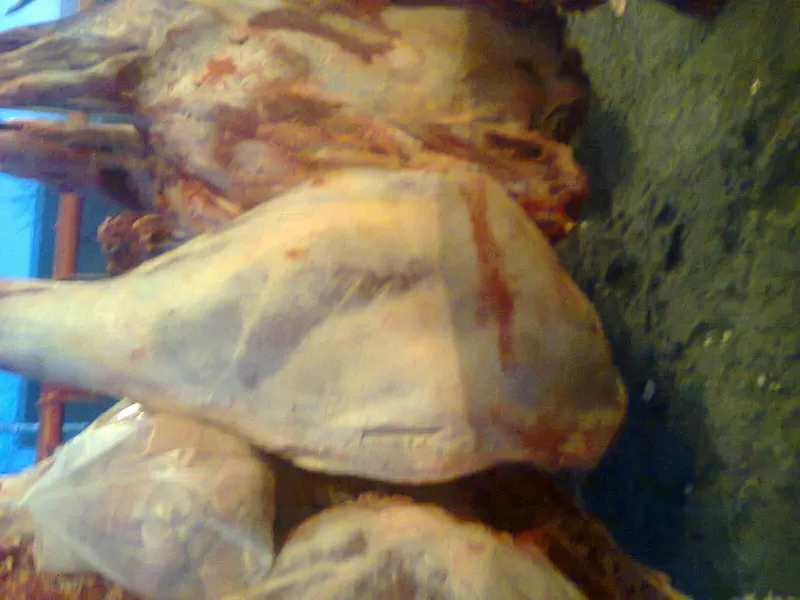 разделка свежого и мароженого Мясо любого вида на электрическои пиле  6