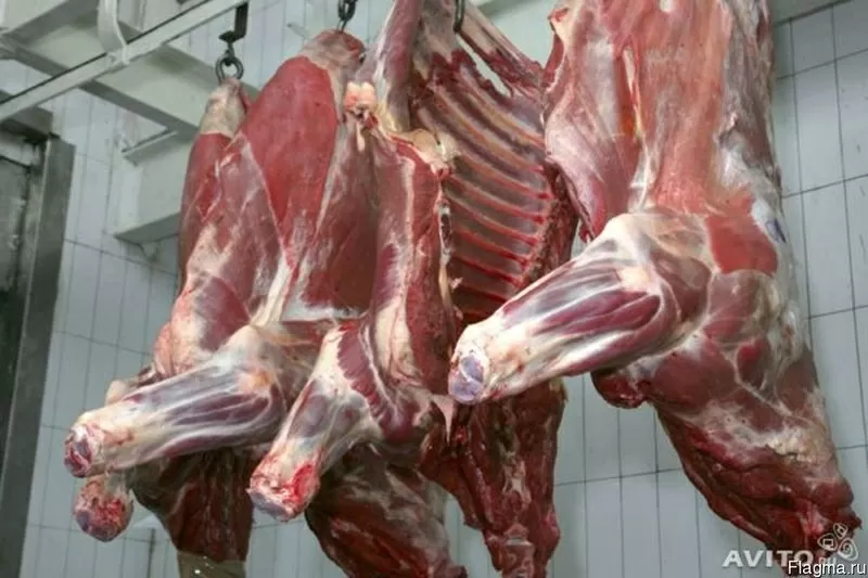 Мясо в Розницу и Оптом Алматы