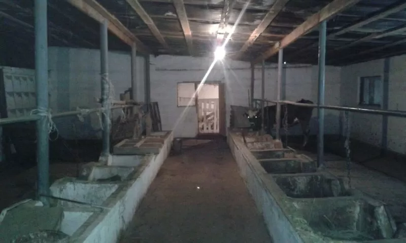 Действующая ферма с участком в 1 га в г. Талгар 2