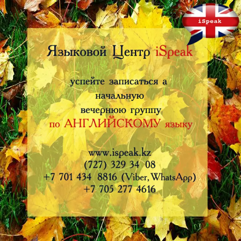 Английский для взрослых в Языковом Центре iSpeak 3
