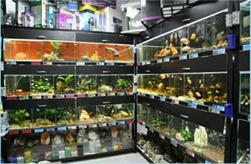 В аквариумный салон требуется продавец