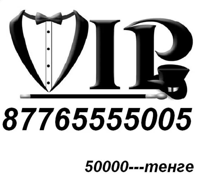 VIP BEELINE NOMER 8776*5555*005