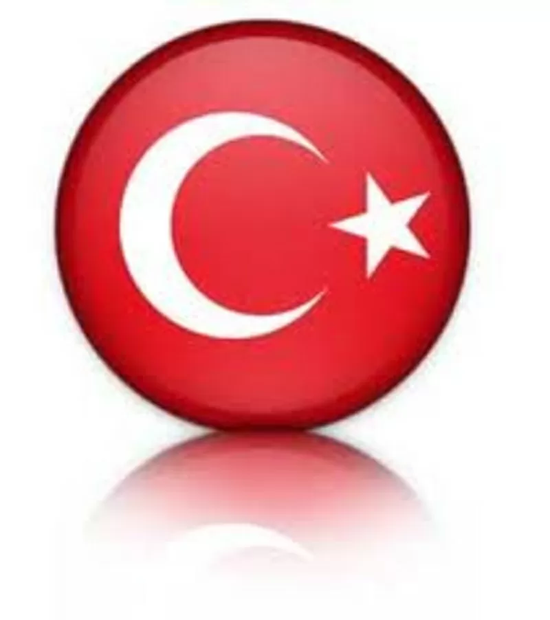 Турецкий язык с НОСИТЕЛЕМ от Open Door!