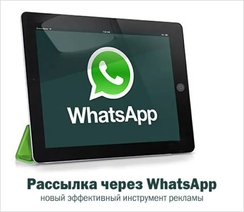 WhatsApp рассылка