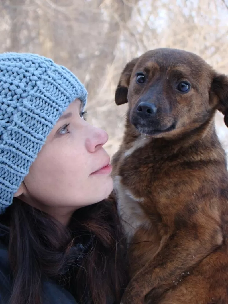 Собаки и щенки для охраны дома в Алматы 9