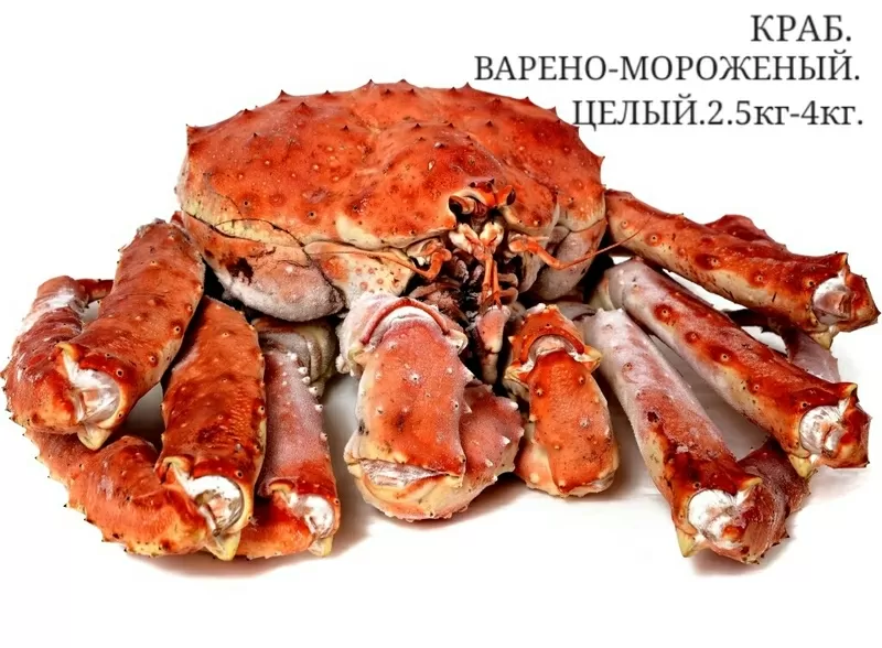 Продам живые морепродукты. 22