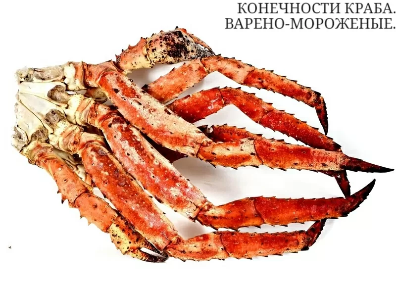 Продам живые морепродукты. 25