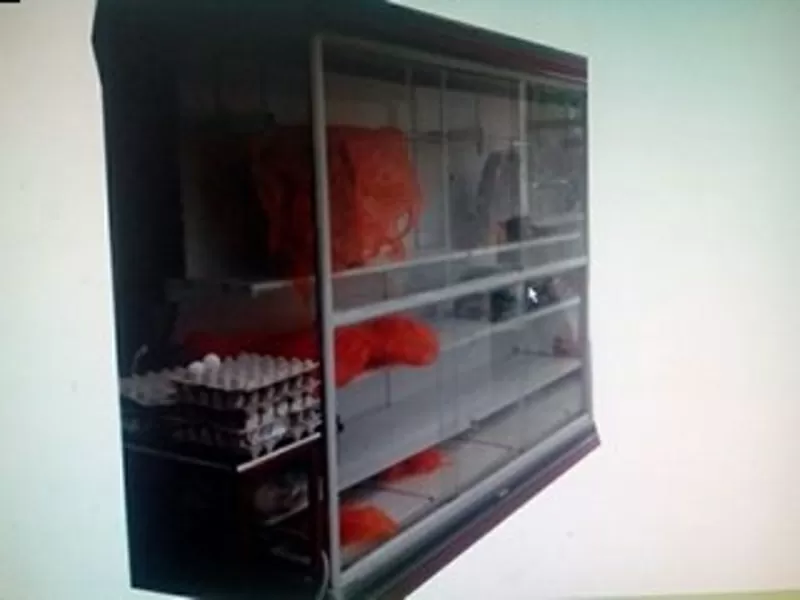  холодилник витрины слаисеры  камера для хранение и костирейзка для мя