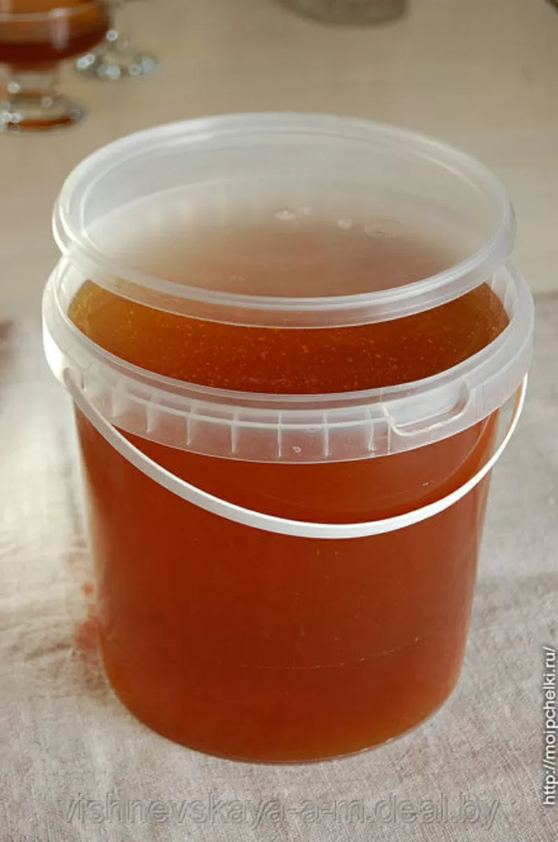 Продается мед: степное разнотравье + хлопковый 1 кг = 1300 тг