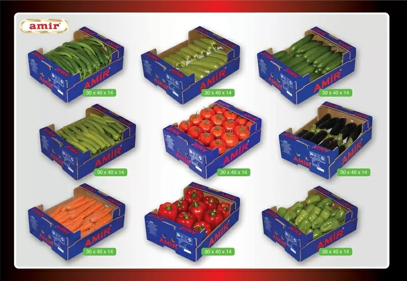 Наша фирма занимаеться поставкой фруктов и овощей по все европе и стра 4