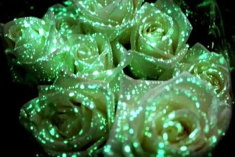 Флористическая краска (био-гель) для цветов светящаяся в темноте 5