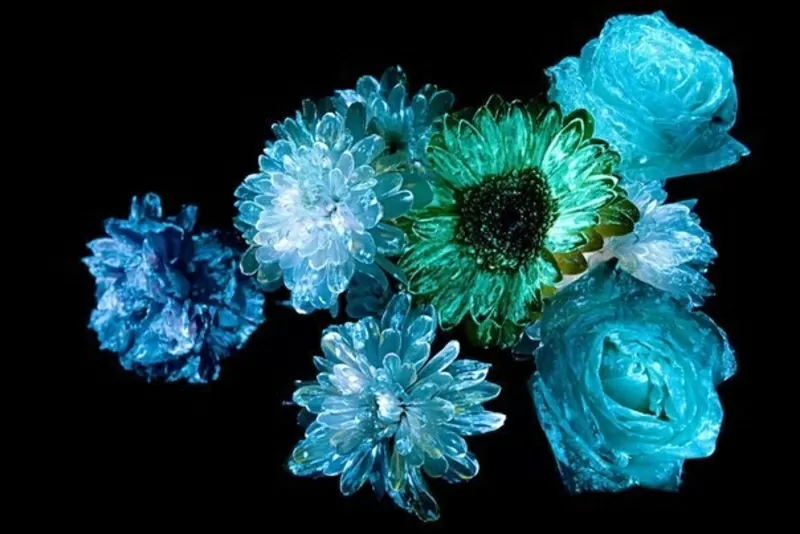 Флористическая краска (био-гель) для цветов светящаяся в темноте 4