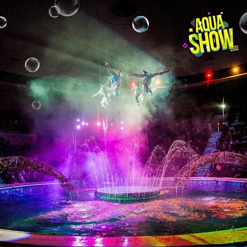 Мы разыграем 100 билетов на выступление красочного Aqua Show 3