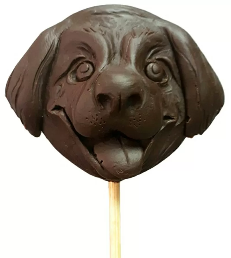 Можно собакам конфеты. Шоколадная собака на палочке. Конфеты пес. Шоколадная собака фигурка. Конфеты для собак.