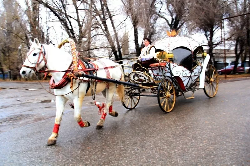 Свадебная карета в Алматы 2