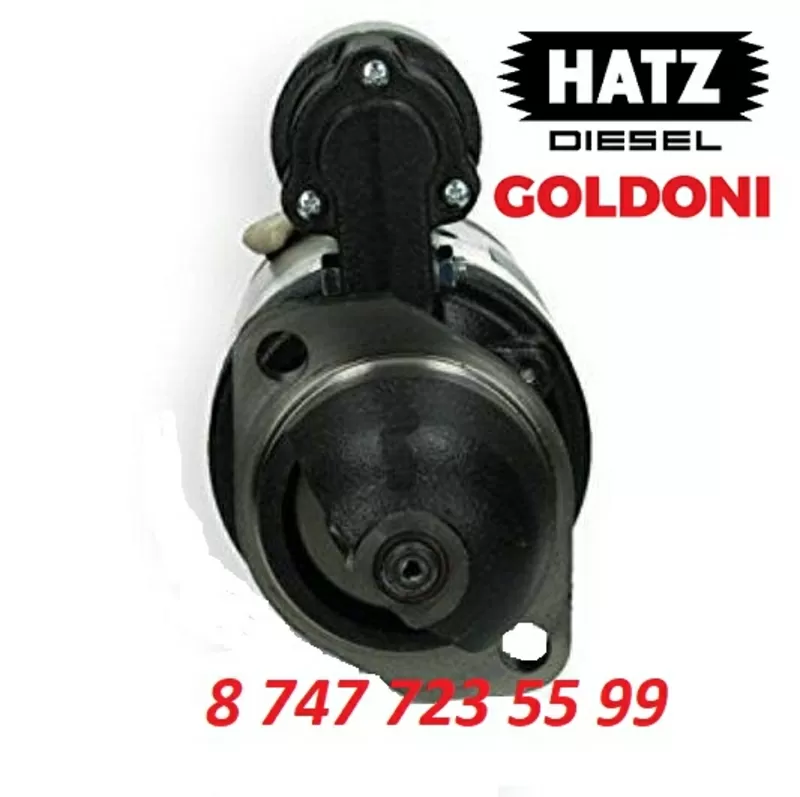 Стартер Hatz, Goldoni 0001354108