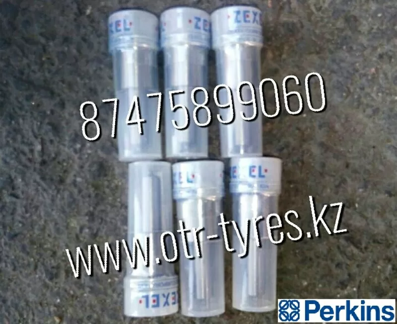 Распылитель форсунки Delphi 6801084