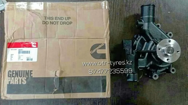 Помпа 3800883 Cummins,  Hamm 3