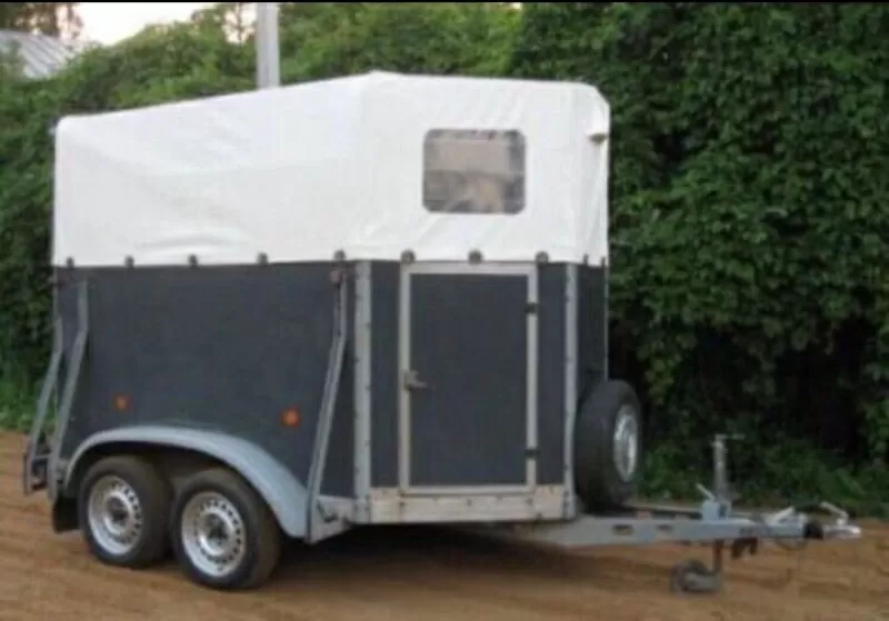 кареты,  коневоз 2