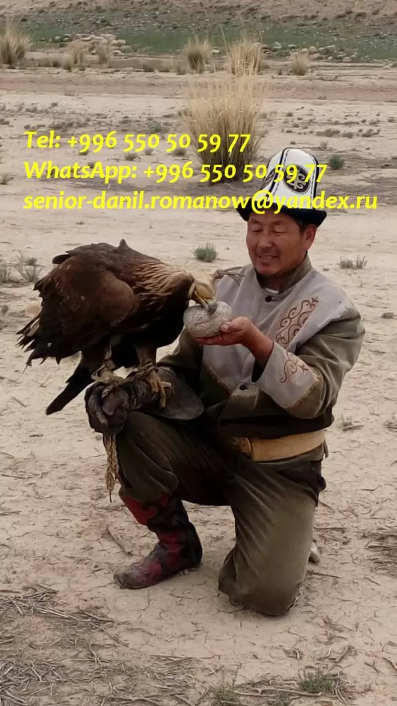 Гид,  водитель,  туры в Кыргызстане,  туризм,  путешествия,  горы,  трэки 3