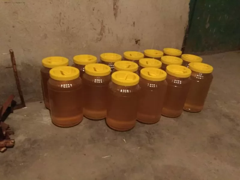 Горно Иссык-Кульский мёд. 6