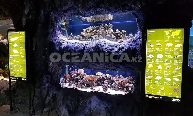 Изготовление аквариумов 
