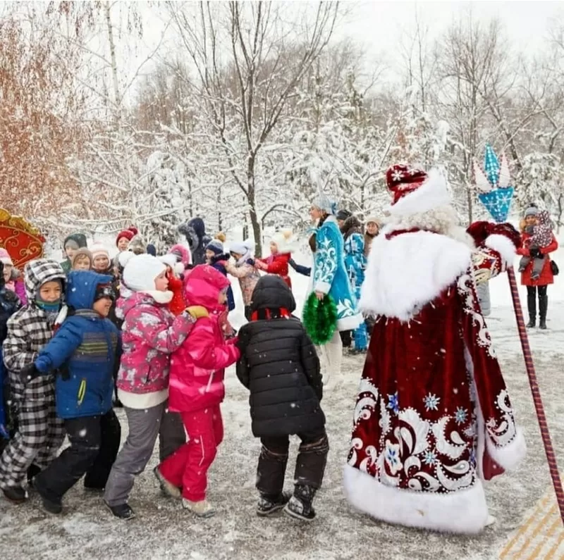 Дед Мороз и Снегурочка на санях 5