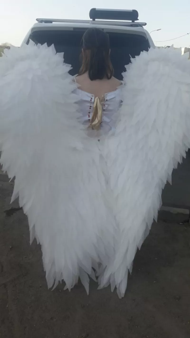 крылья ангела аренда,  продажа 5