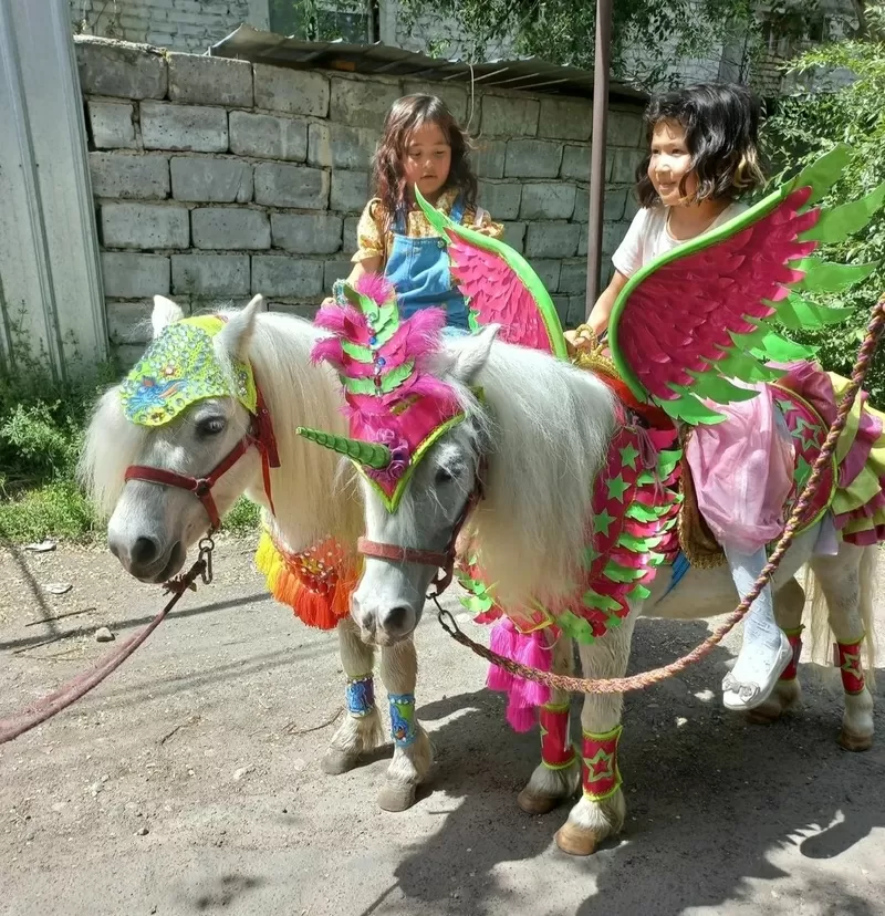 пони в гости для ребенка