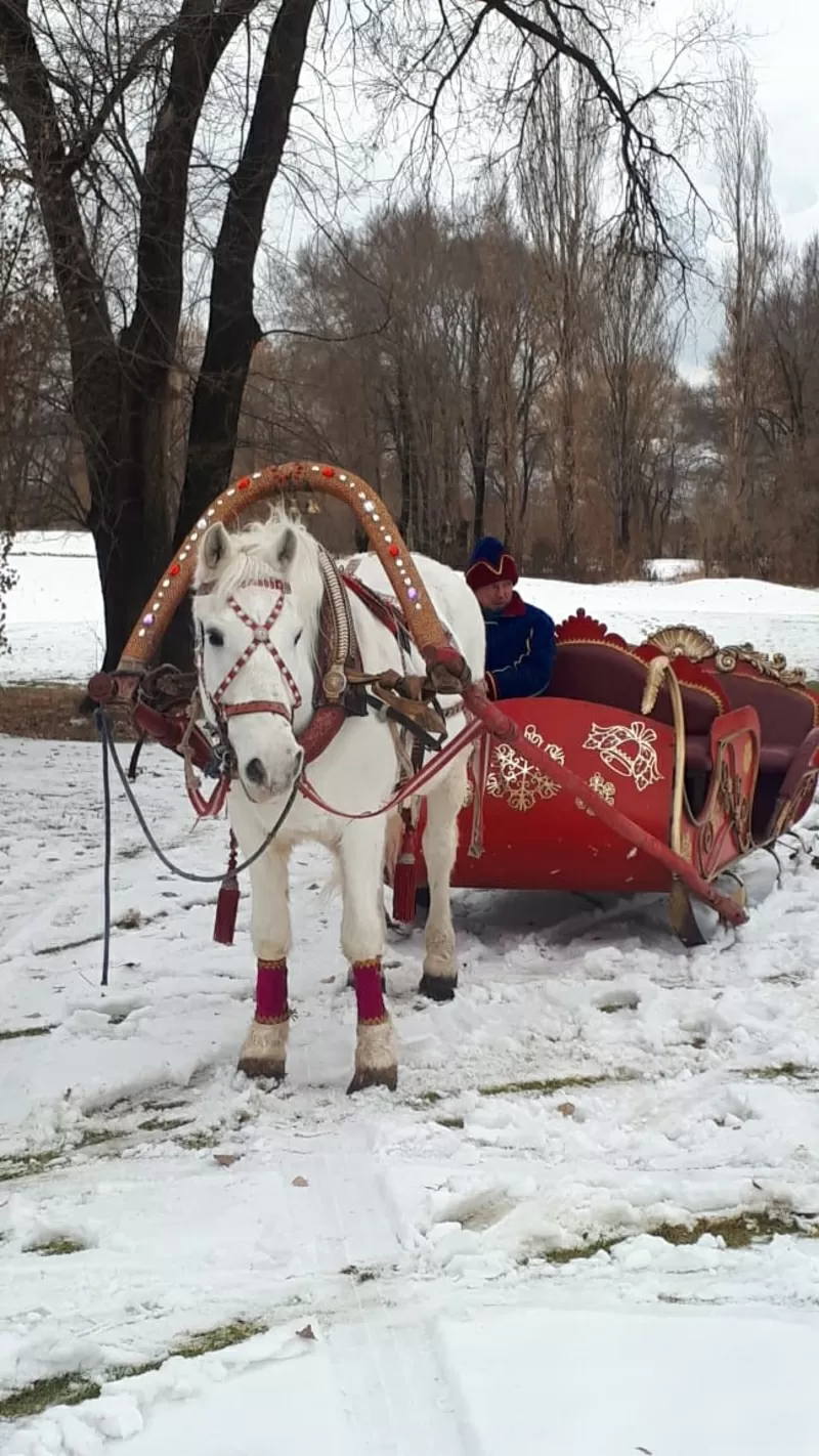 сани большие под лошадь 2