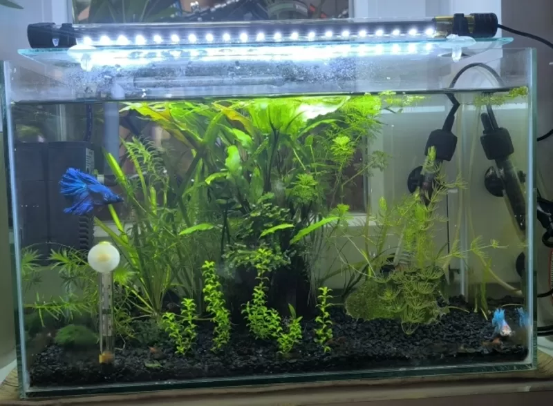 Продается готовый аквариум.