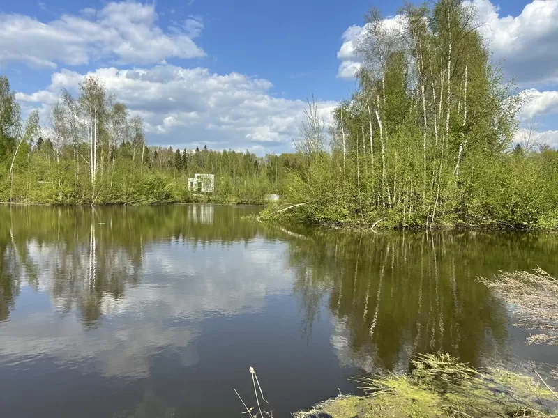 ГОТОВАЯ ДАЧА  и ДИВАН ЦВЕТА СПЕЛОЙ ВИШНИ В ПОДАРОК! 8