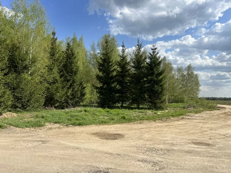 ГОТОВАЯ ДАЧА  и ДИВАН ЦВЕТА СПЕЛОЙ ВИШНИ В ПОДАРОК! 10