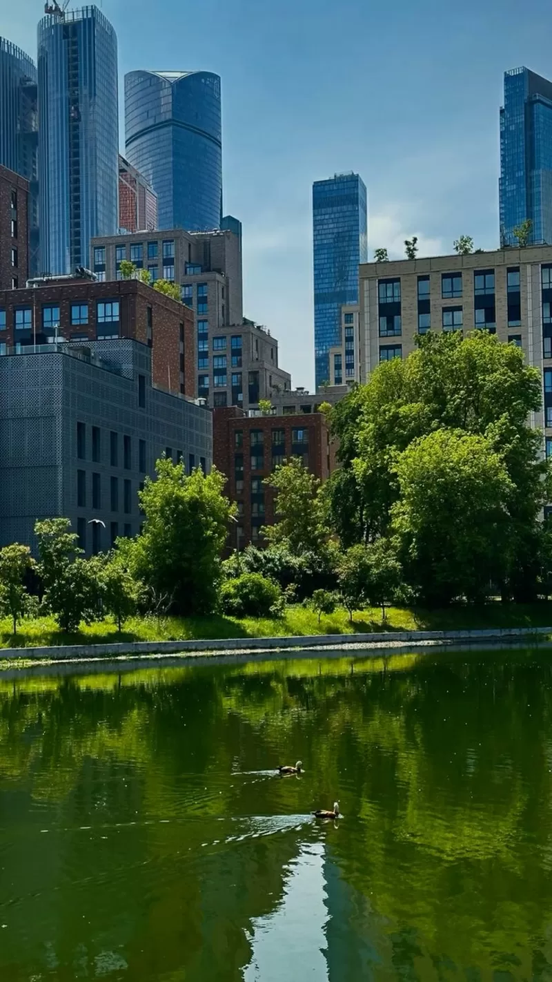 Недвижимость в Москве и Подмосковье – путь к жизни и бизнесу в России 3