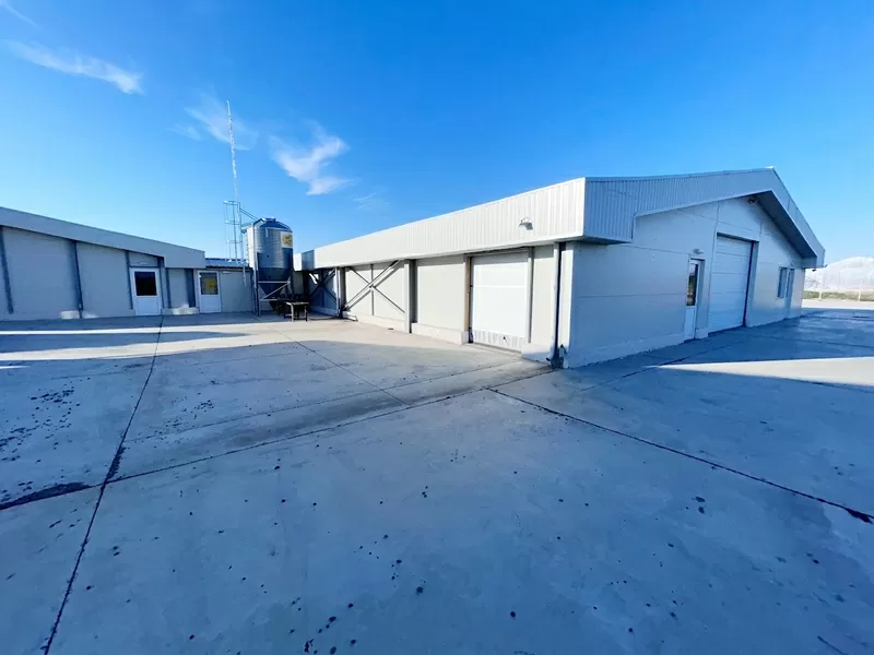 Свиноферма 1400 голов в Румынии