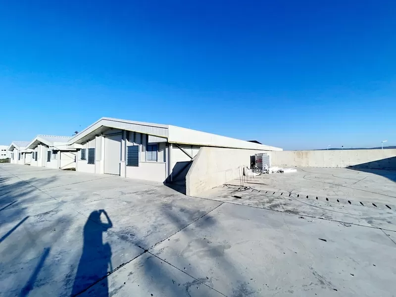 Свиноферма 1400 голов в Румынии 3