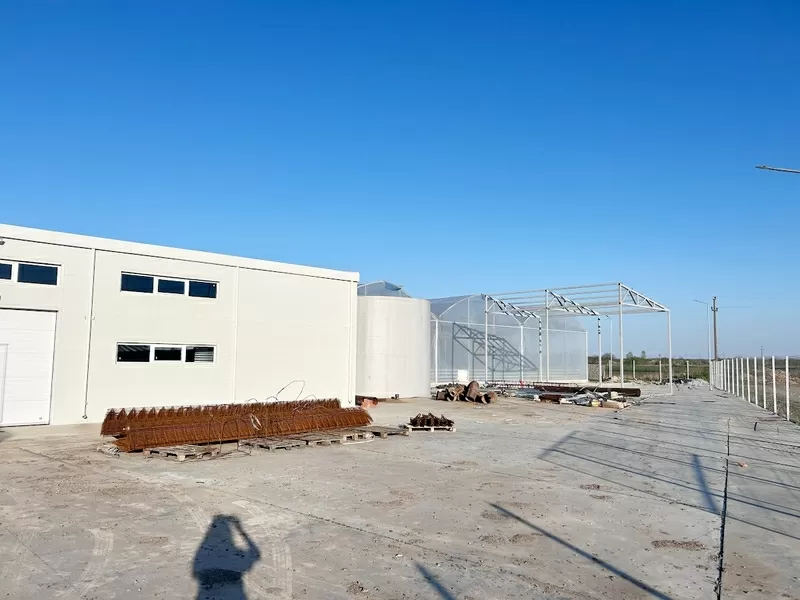 Свиноферма 1400 голов в Румынии 2