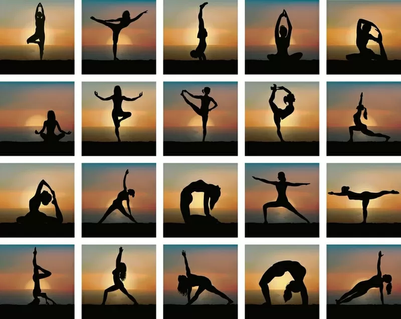 Тренер по хатха-йоге 6