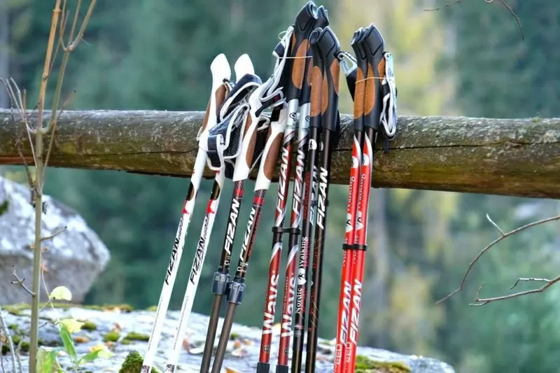 Сертифицированный инструктор по скандинавской ходьбе 7